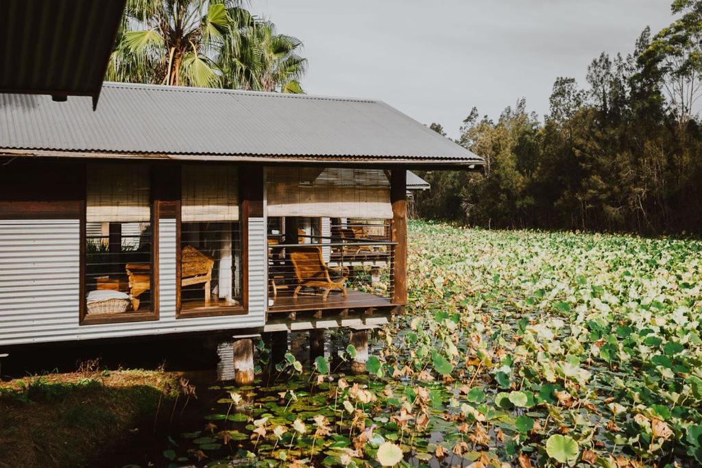 The Boathouses At Leaves & Fishes لوفديل المظهر الخارجي الصورة