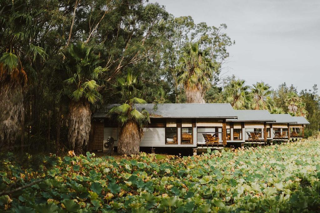The Boathouses At Leaves & Fishes لوفديل المظهر الخارجي الصورة